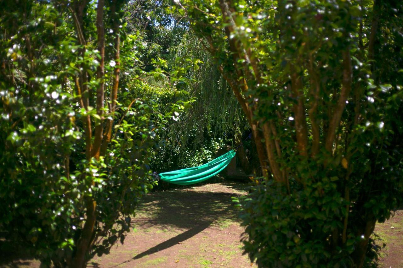 Villa Varzea - Garden Suite Eksteriør billede